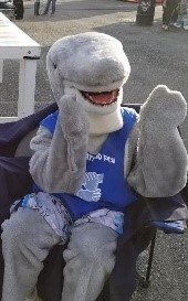 Our mascot Sharky.