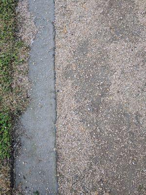 The surface of a Sacramento dog park using decomposed granite, shot next to concrete border and grass for comparison, taken after a rain.