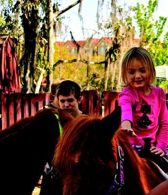 The Family Festival on March 8 has pony rides and free art demos