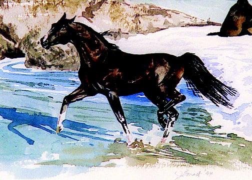 Watercolor of a horse, painted by business owner, Jeanette S. in 1994, sold.