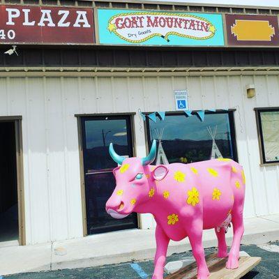 When you see the fuchsia cow with yellow daisies you have found Goat Mountain Co!