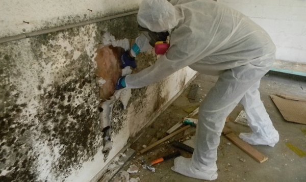 Our expert team can attack your mold problems in any space.