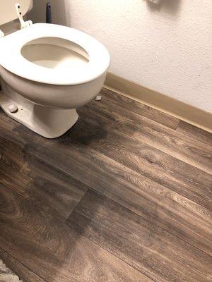 Leaking toilet that was never fixed