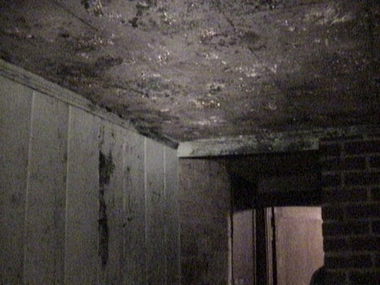 Mold damage in Columbia