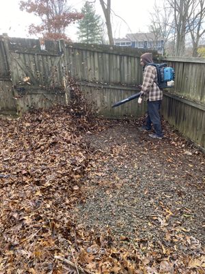 Leaf removal