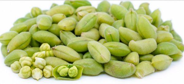 Fresh green chana