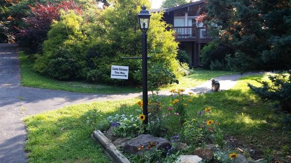 Our front garden entrance