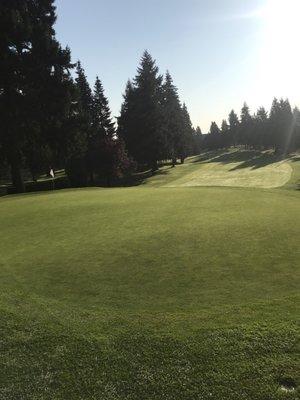 Morning dew on the fairways