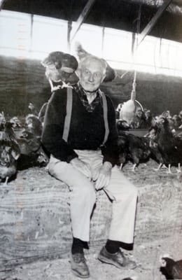 Best local Organic eggs ever! On the photo the founder of "The Country Hen" George S. Bass with his girls.