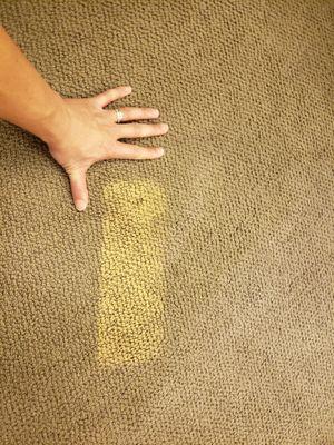 Just Clean Carpet Cleaning