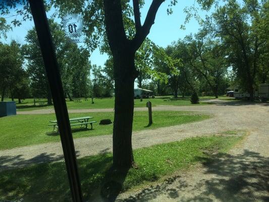 View from RV window. St Louis River behind the tree line.