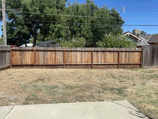 Backyard fence repair