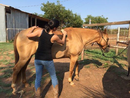 Tesorino Equestrian Center