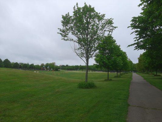 In the southeast part of Heritage Park looking north.