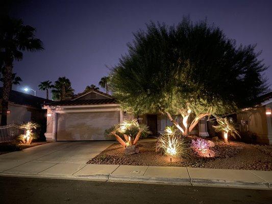 My front yard illuminated!