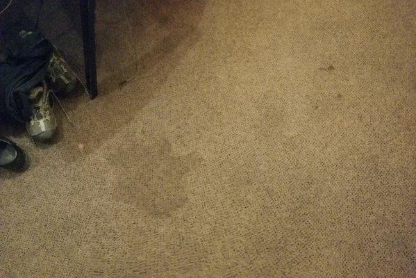 Floor stains in the room. Is that blood in the top right side?