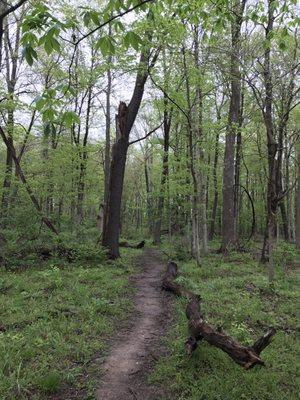 Part of a loop on the hillside