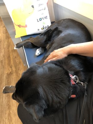 Comfy seats in the waiting room. Enough for two