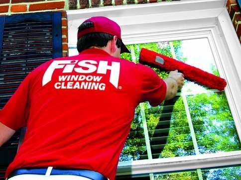 Fish Window Cleaning