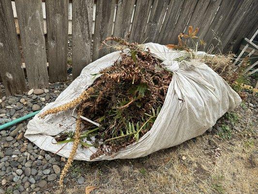 One time yard clean up and weekly maintenance