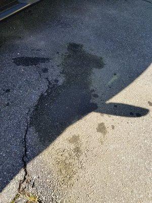 Oil stained driveway by CJ Tree