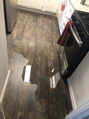 Kitchen flooding due to broken dishwasher