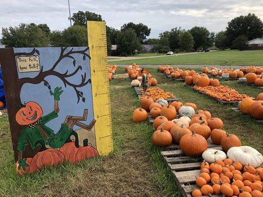 10/18/18. Thursday afternoon. Our annual visit to the great pumpkin patch!! Debit cards accepted!!