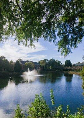 Our office has an amazing view in the back. Take a stroll before or after your appointment to find some extra peace and relaxation.