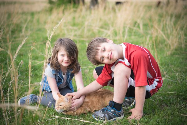 Kids enjoy petting the photo-cat who accompanies us on shoots