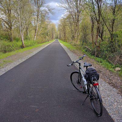 My new rocket ship from Tacoma Bike!