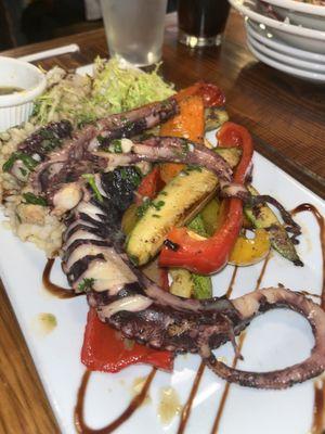 Mediterranean Octopus