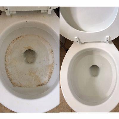 Before and After Toilet Bowl Cleaning