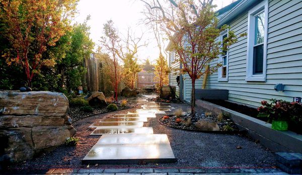 Sango Kaku, Red Coral Bark Maple intimate walking path, progress picture.