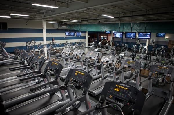 All brand new treadmill's and elliptical's