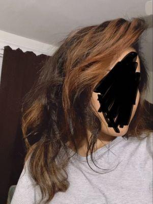 Came in with healthy long hair, left with dry, burnt hair, CHEMICALLY BURNT, bad coloring technique, 160$ for my hair to get destroyed