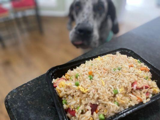 BBQ Pork Fried Rice - $14. Adonis wanted some soooo badly!