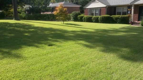 Had a previous lawn care provider and was not satisfied but after one season with The Green Chaos...Solved and our organic ap...