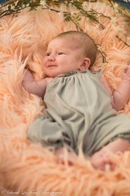 Beautiful Newborn Photos