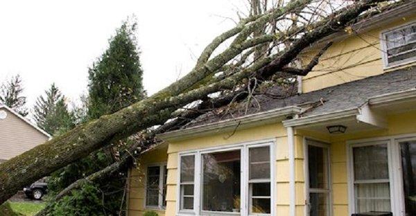 Storm Damage Restoration Services