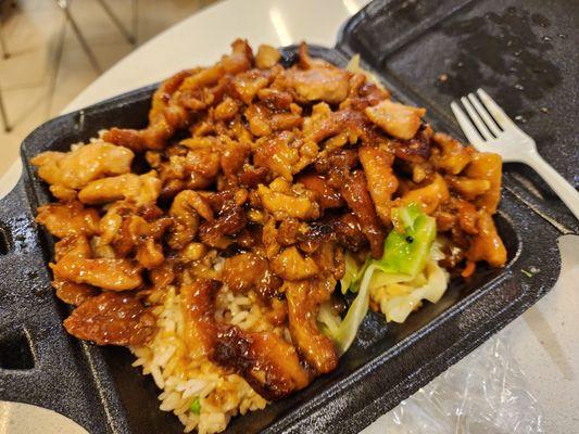 Double chicken teriyaki