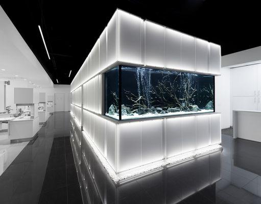 Modern Aquarium Tank