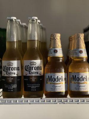 Corona and Modelo