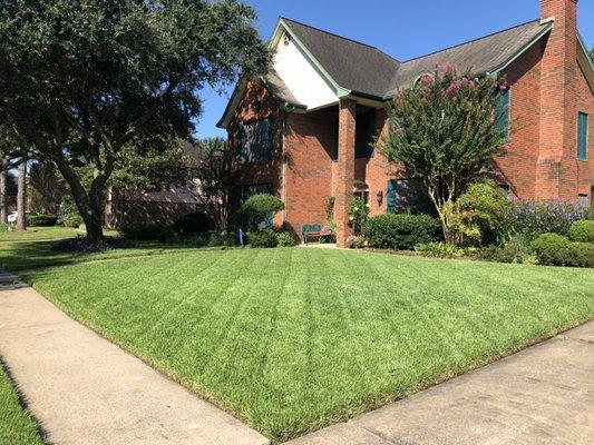 Follow our yearly lawn program and receive fantastic discounts and the absolute best lawn on the block. Organic, SAFE, and beautiful.