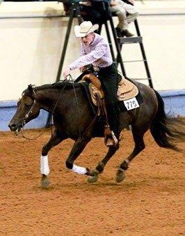 Reining!