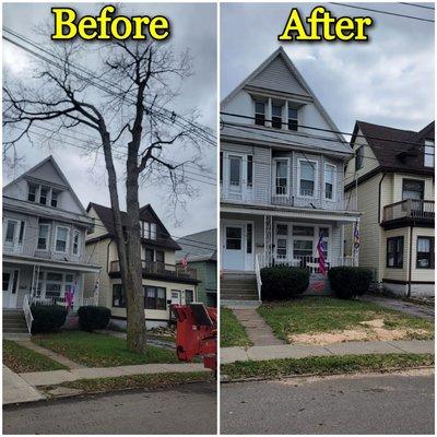 Power line is not a big problem for us.Safety Removal of a Dead tree in Customer's front yard.this look nice nah?