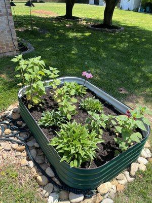 Raised Pollinator Garden