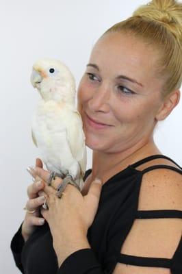 Goffin Cockatoos make wonderful pint size companion