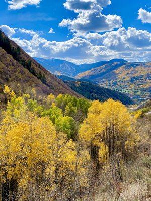 Fall colors and views to Beaver Creek resort.