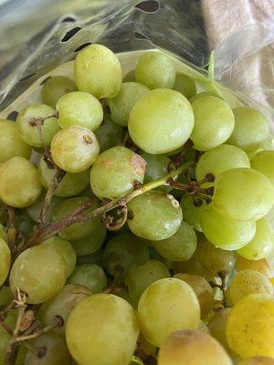 "Fresh" grapes