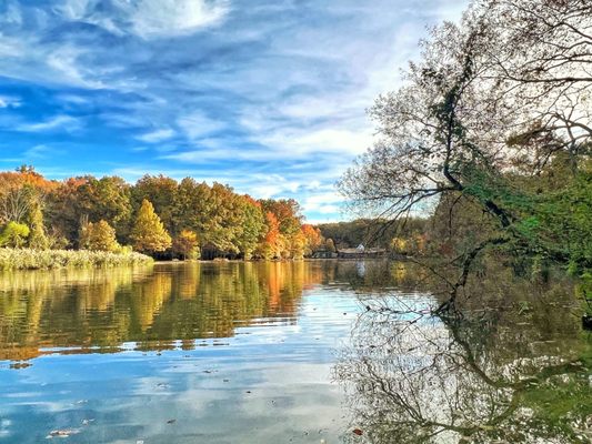 Fall color change - Willowbrook Park